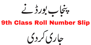 9th Class Roll Number Slip 2024 BISE Rawalpindi Board